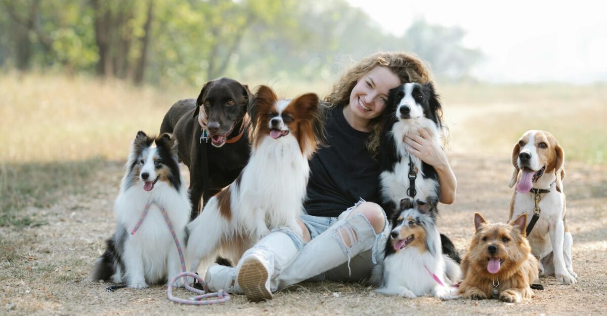 A cheerful woman sitting with various dog breeds in a sunny park showcasing companionship