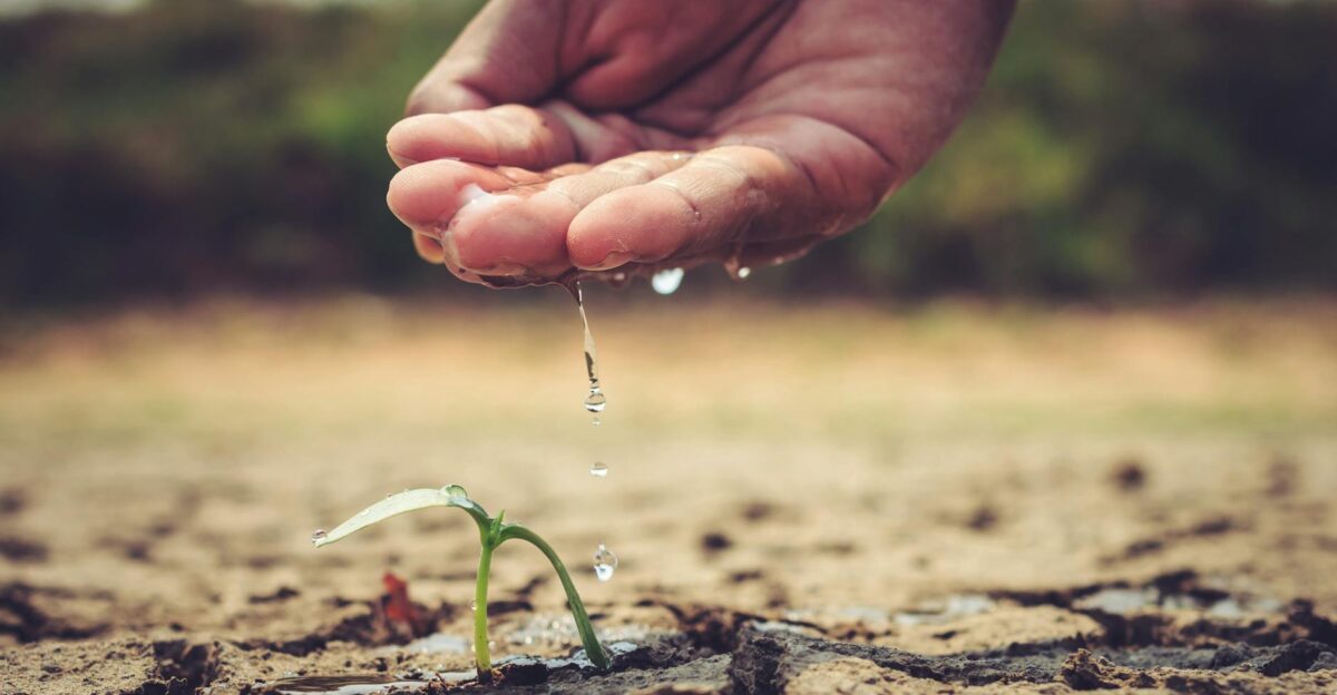 A hand gently watering a small sprout in dry soil symbolizing growth and care