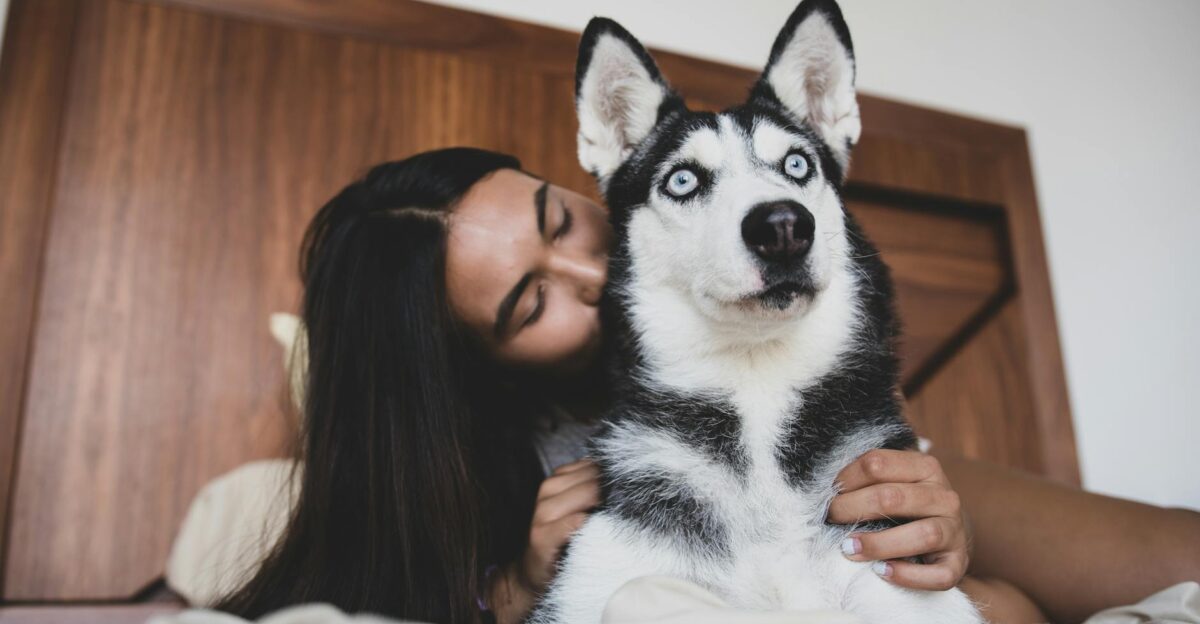 Woman affectionately cuddling her Siberian Husky dog on a bed indoors