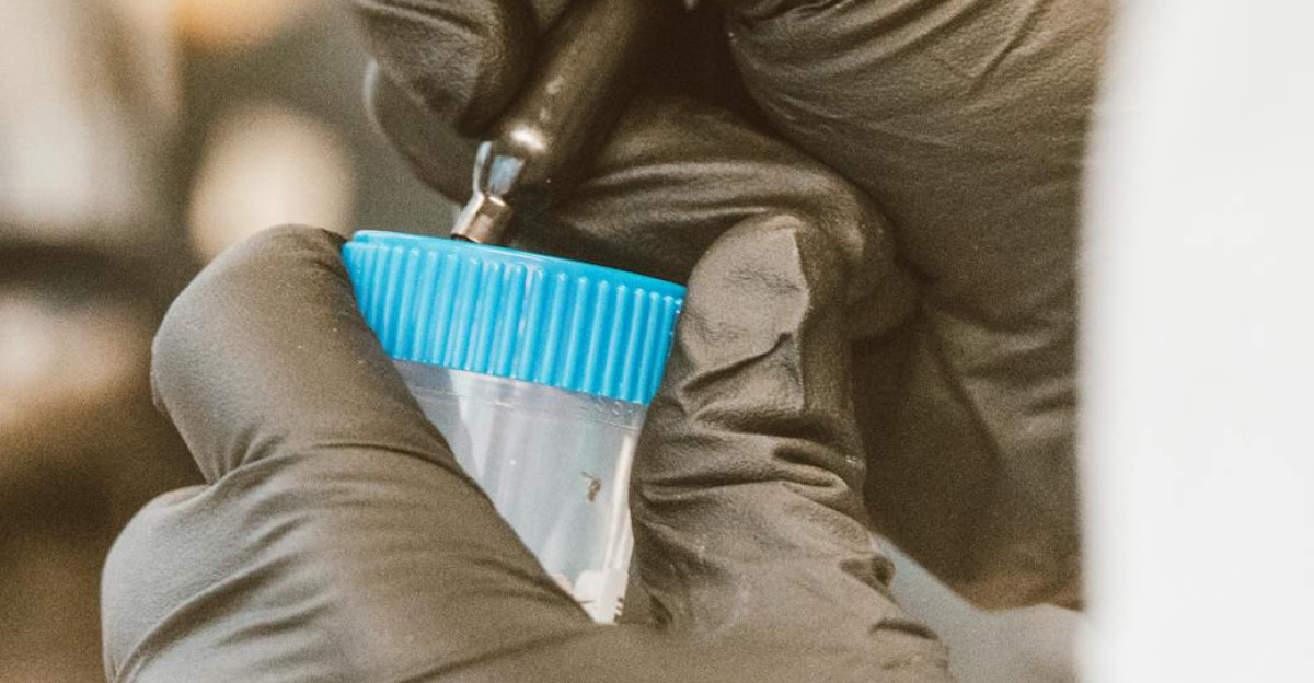 A scientist in gloves labels a sample in a laboratory emphasizing precision and safety