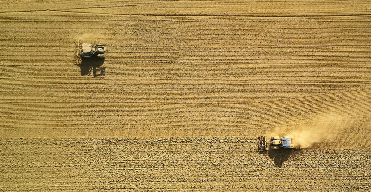 aerial view of two harvesters on brown field