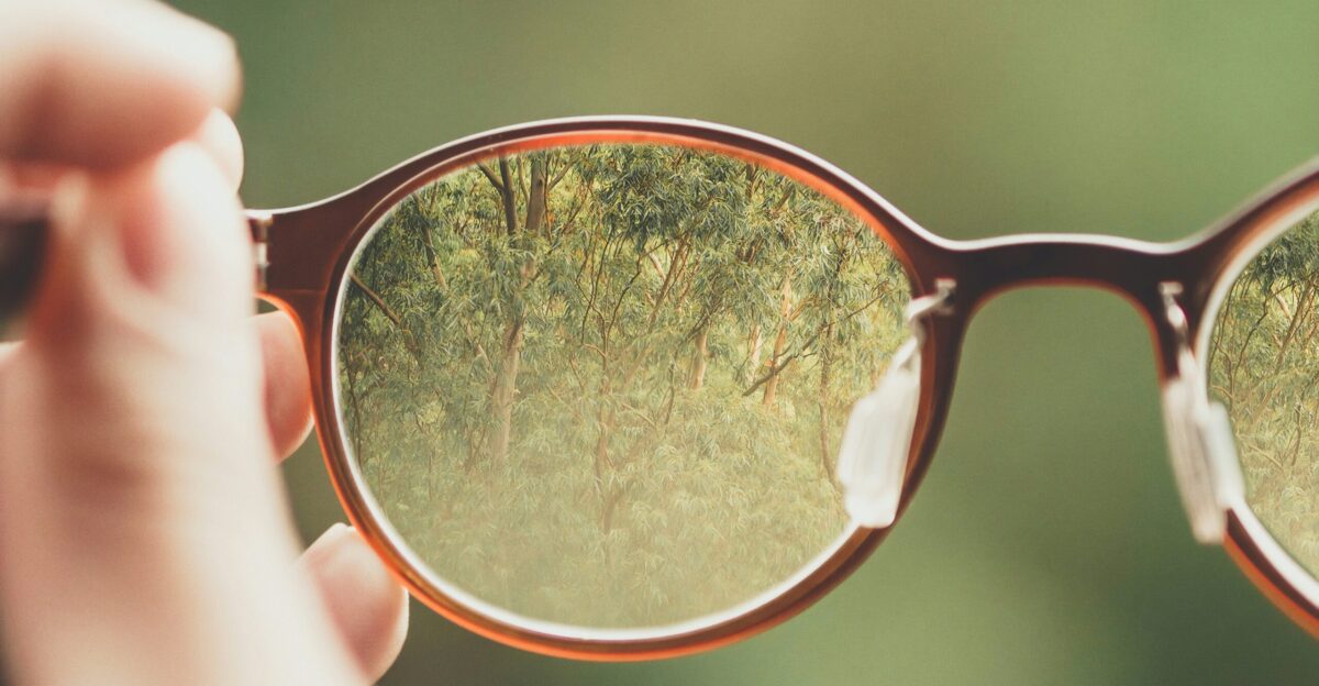 person holding brown eyeglasses with green trees background