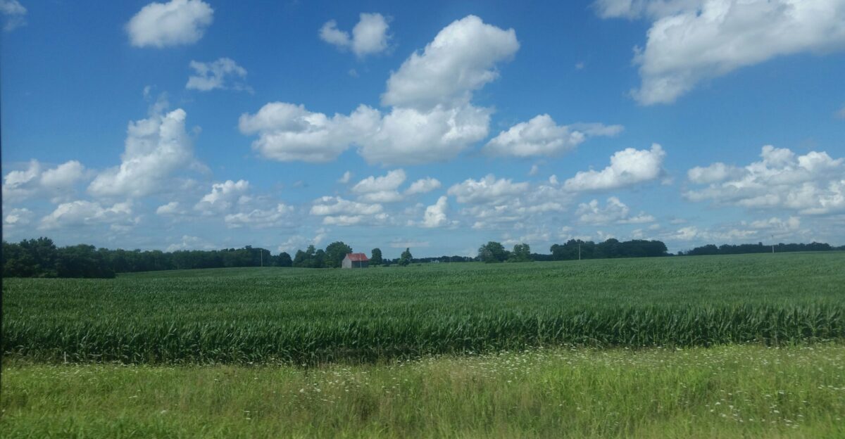 brown barn in green crops field