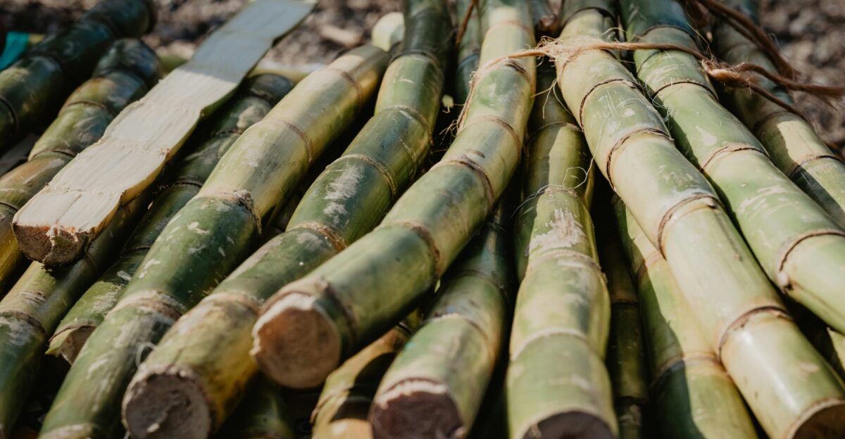 brown bamboo sticks on brown wooden table