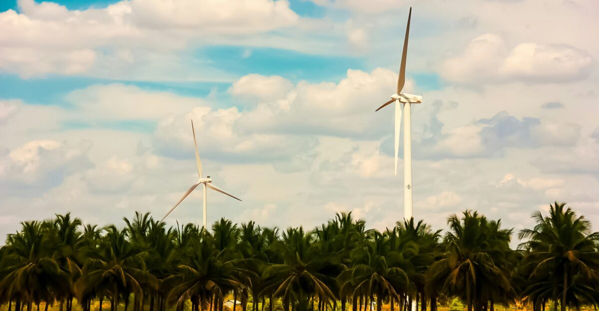 white wind turbine surrounded by palm trees under blue sky and white clouds during daytime