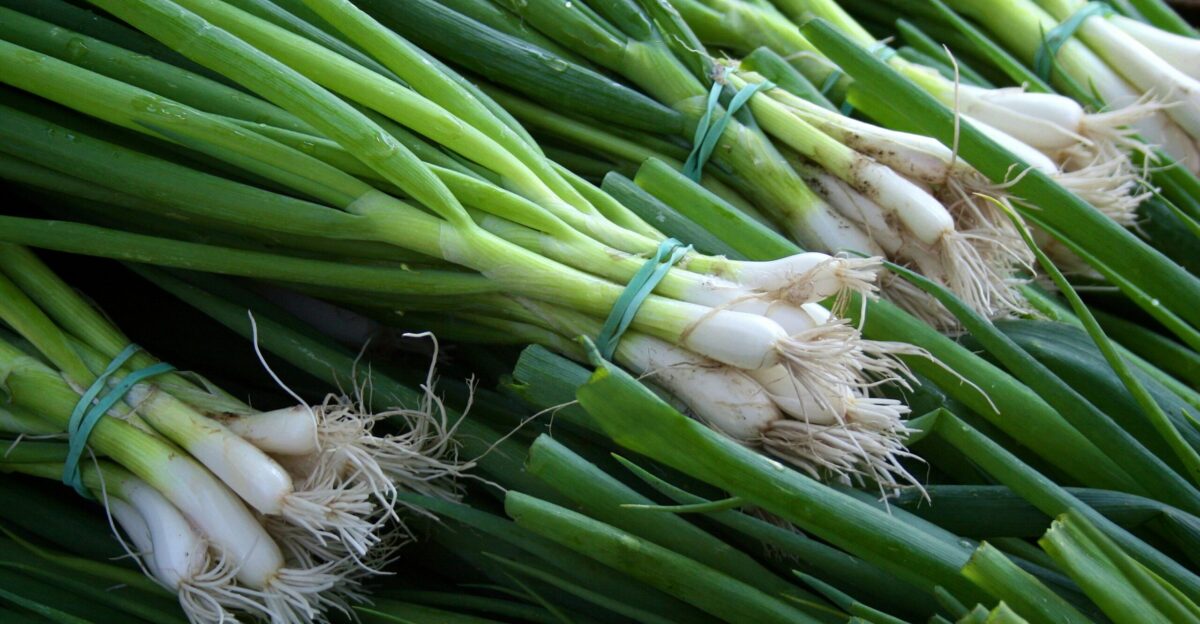 green and white vegetable on brown wooden table
