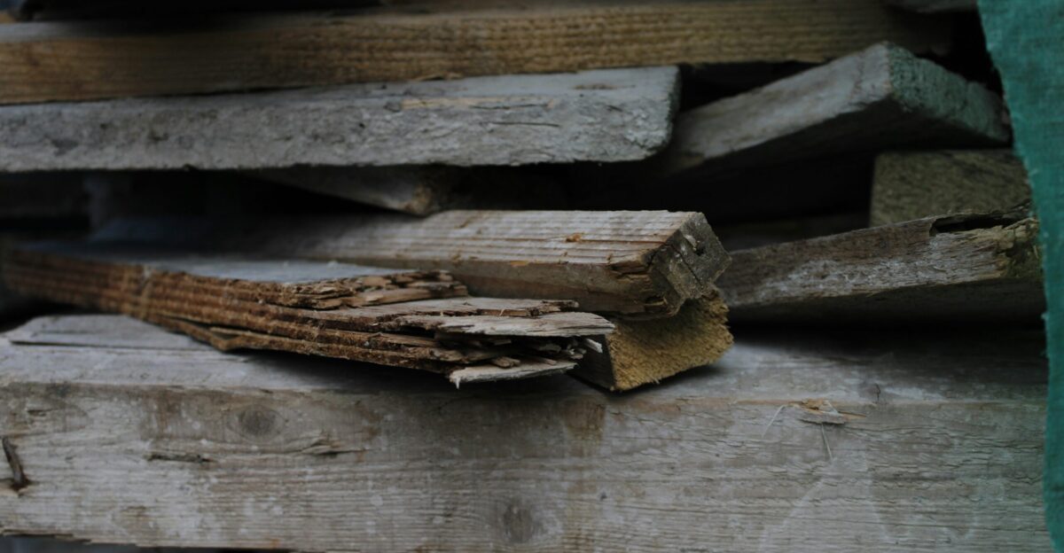 brown wooden log on brown wooden surface