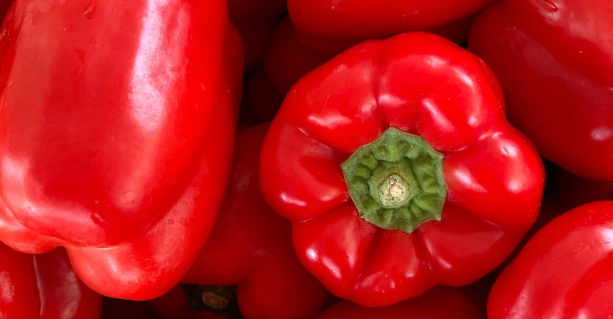 red bell pepper in close up photography