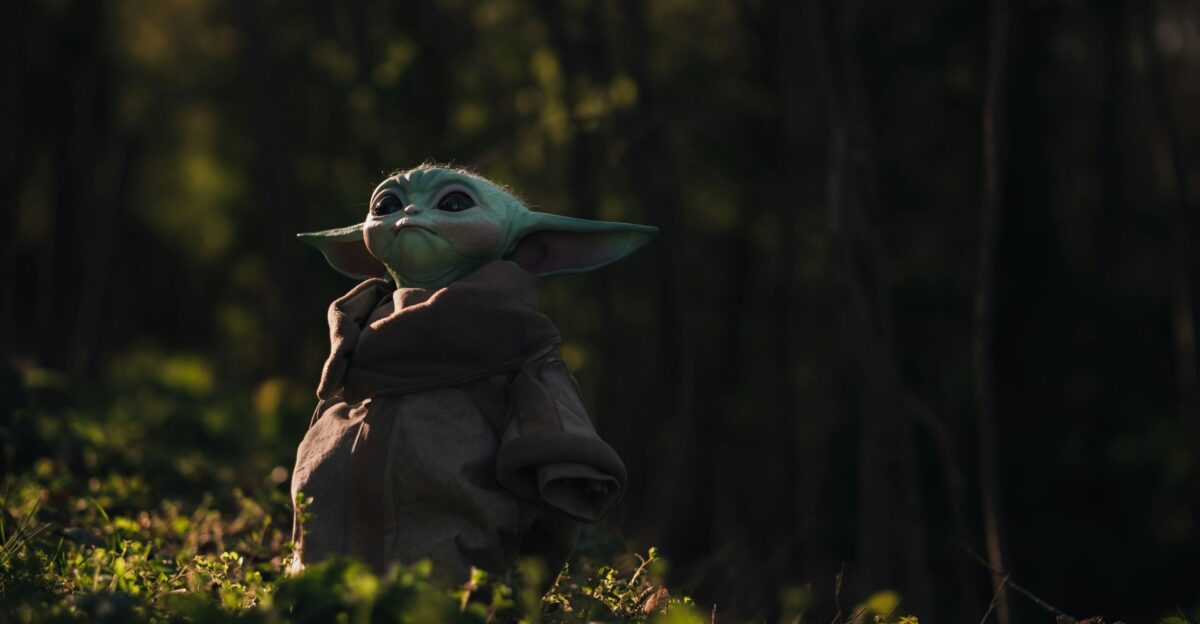 green bird on brown jacket