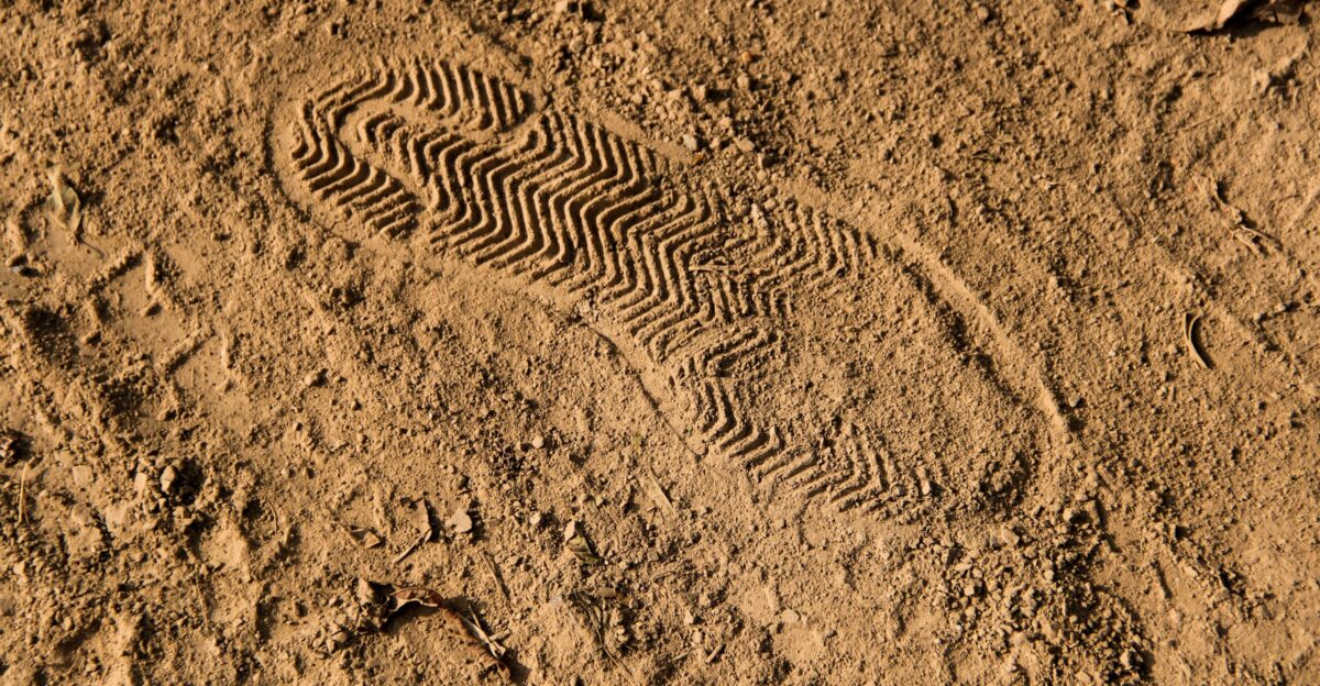 brown sand with black and white stripe