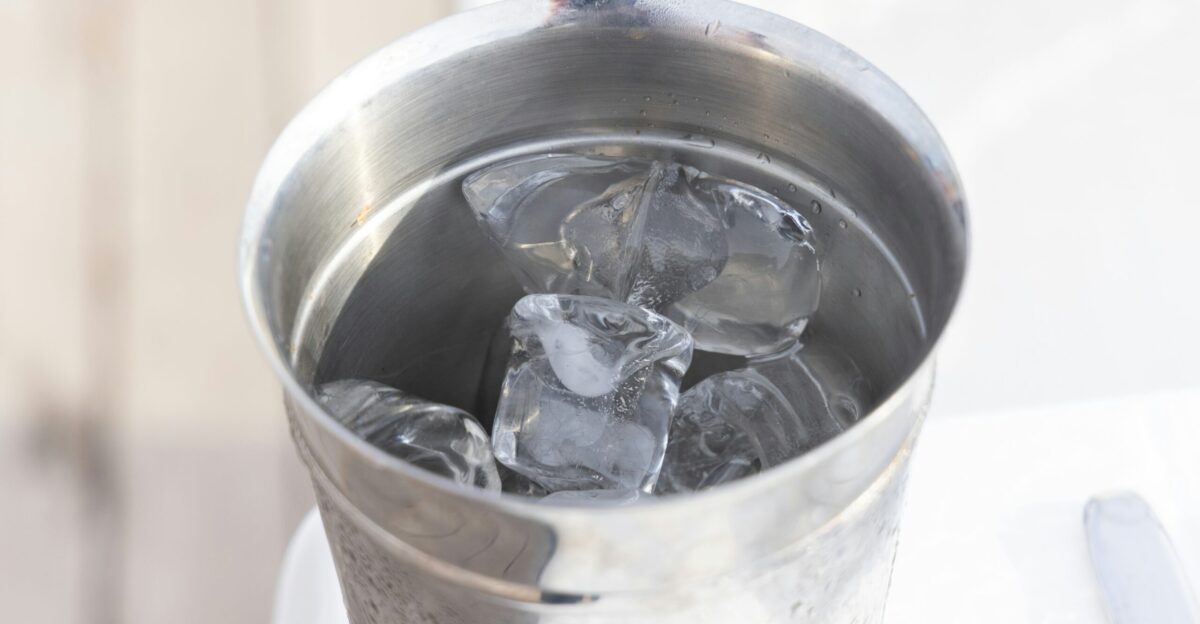 stainless steel bucket with ice