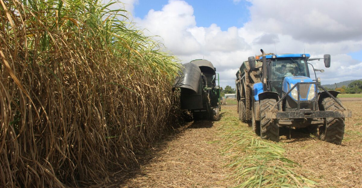 a couple of tractors that are in the dirt