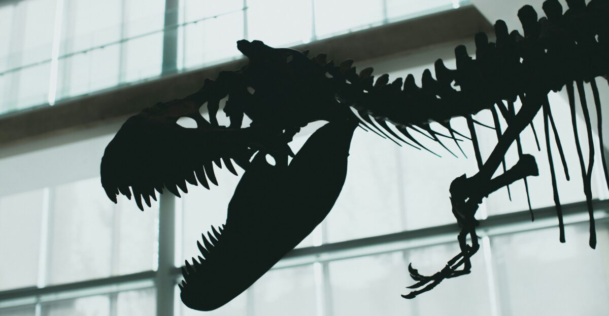 a dinosaur skeleton hanging from the ceiling of a building
