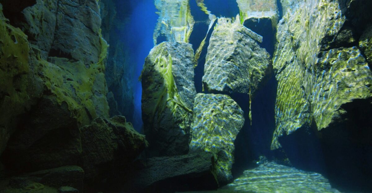 an underwater view of a rock formation in the ocean