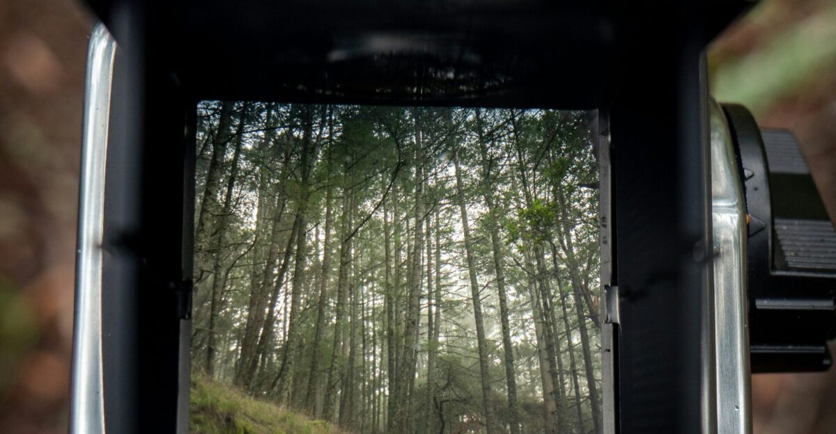 a close up of a camera with trees in the background