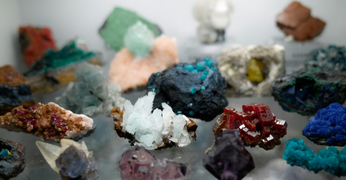 a bunch of rocks that are on a table