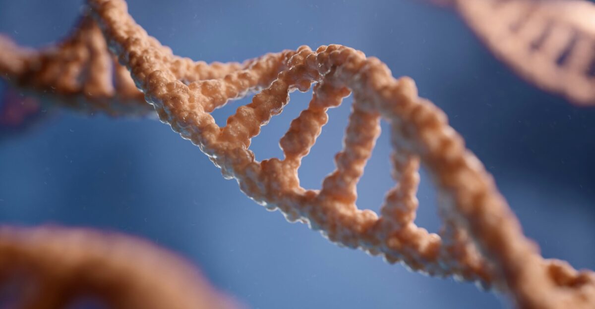 a close up of a single strand of food