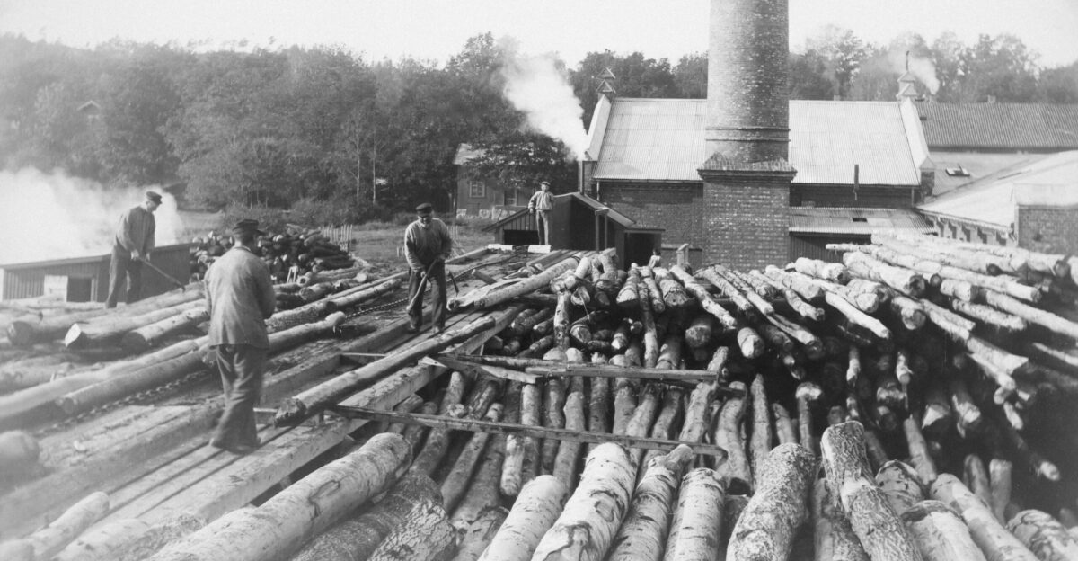 a group of men standing on top of a pile of logs