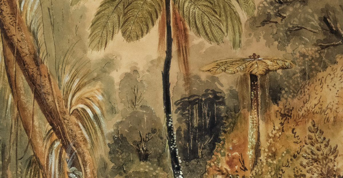 ancient tropical Illinois art