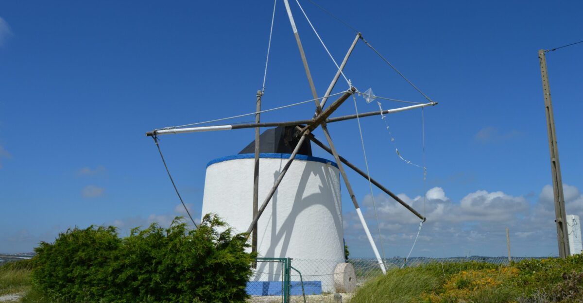 A white and blue windmill sitting on top of a lush green field