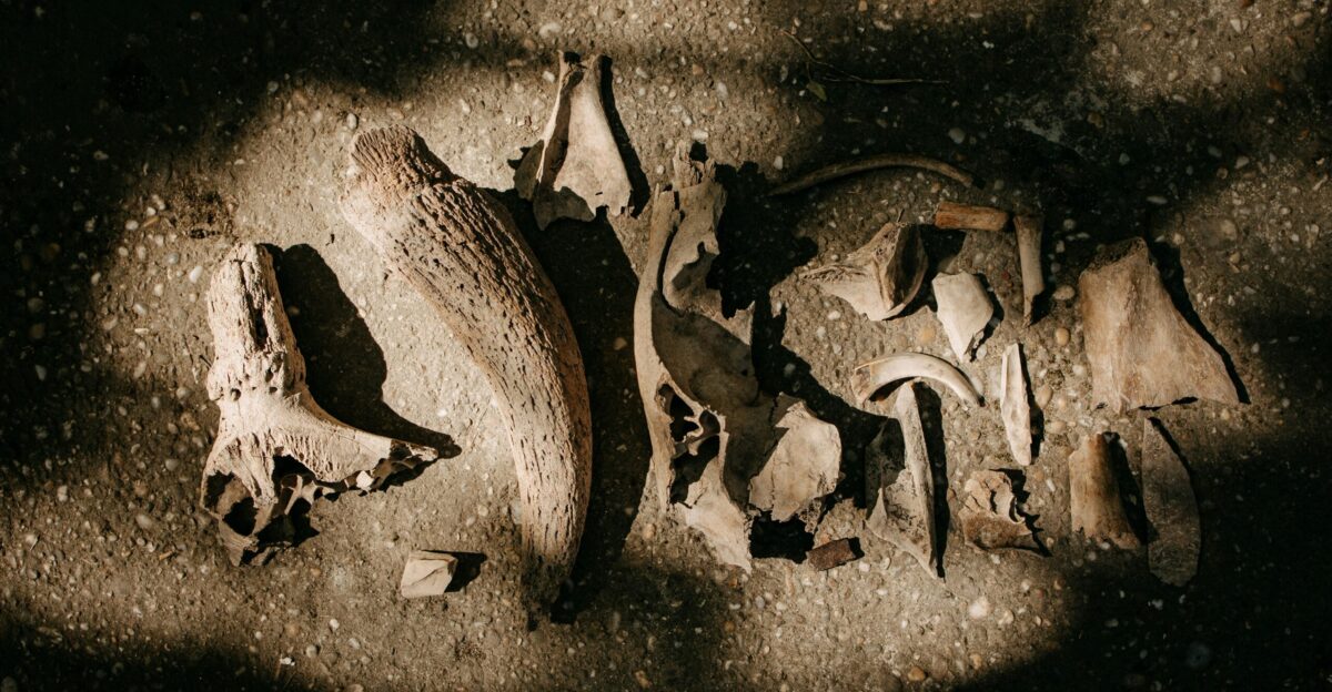 A close up of a broken shoe on the ground
