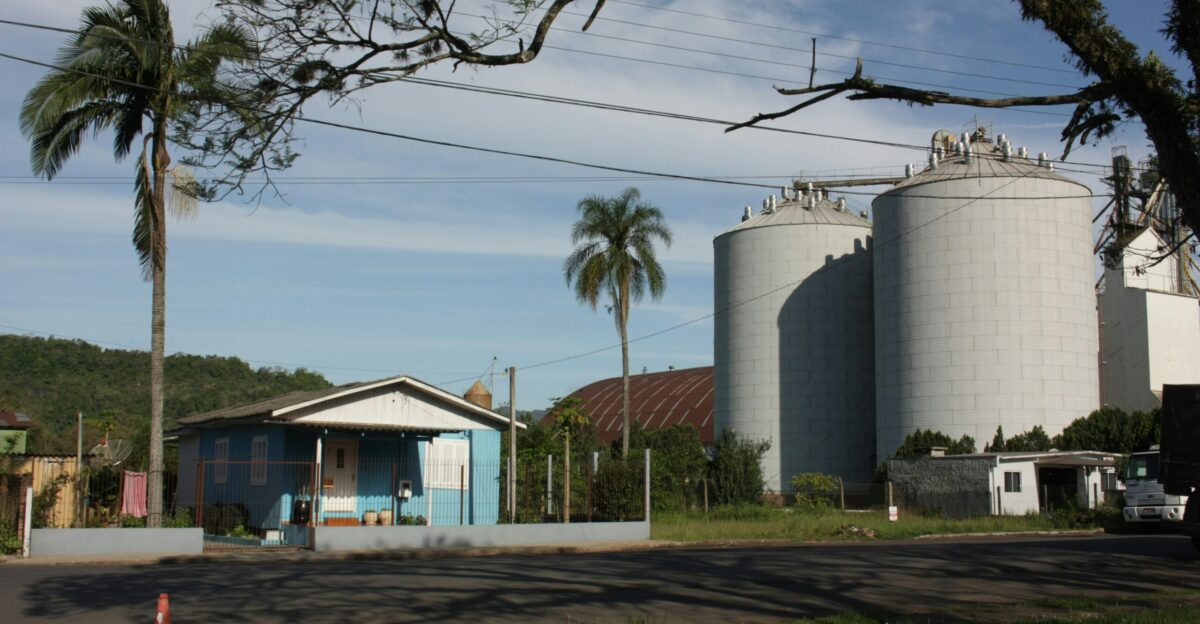 A large white building sitting next to a palm tree