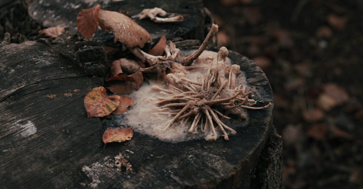A piece of wood that has some leaves on it