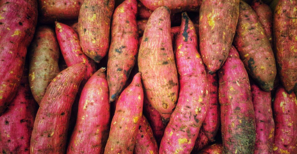 A pile of pink and yellow sweet potatoes