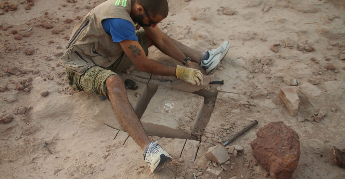 The paleontologist Pablo Gallina breakes the sandstone to collect a fossil bone included in the rock belonging to the 95 million years old Candeleros Formation in R o Negro Province Argentina