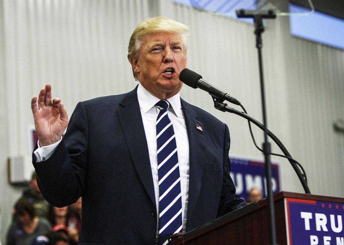 POL trump-talking1 by cynthia C