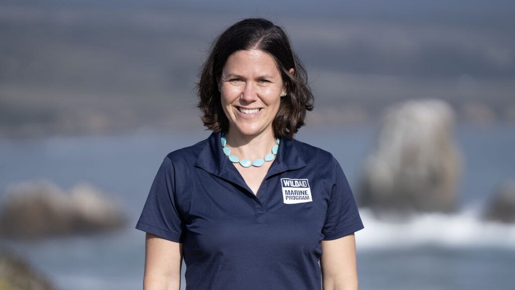 How We Select Finalists and Winners - The Earthshot Prize by Anna Yu