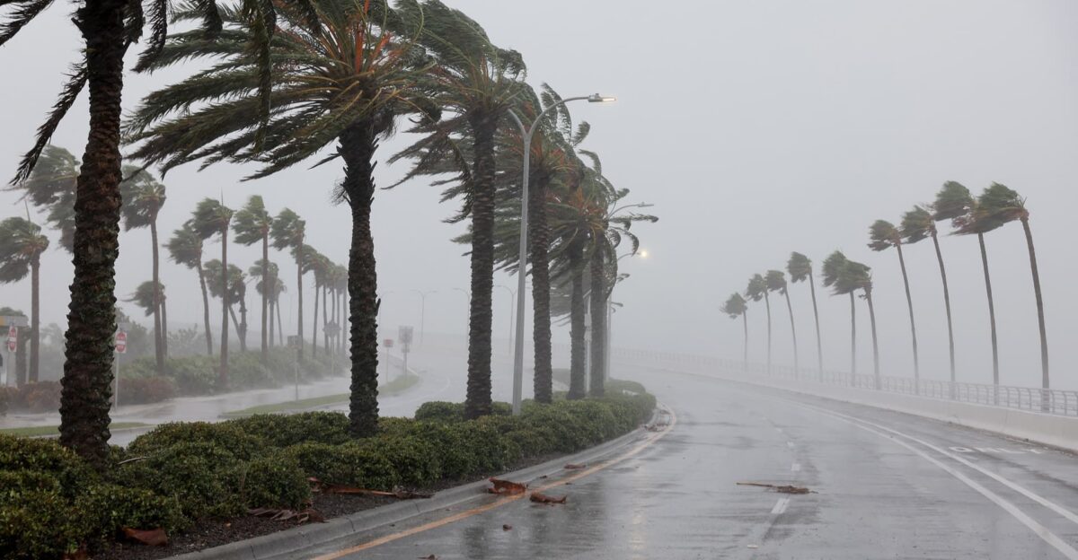 Hurricane Ian makes landfall in southwest Florida bringing destructive floods and wind by Karmuel Young