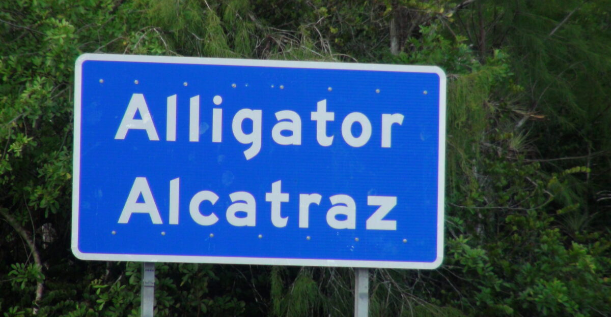 Alligator Alcatraz detention center