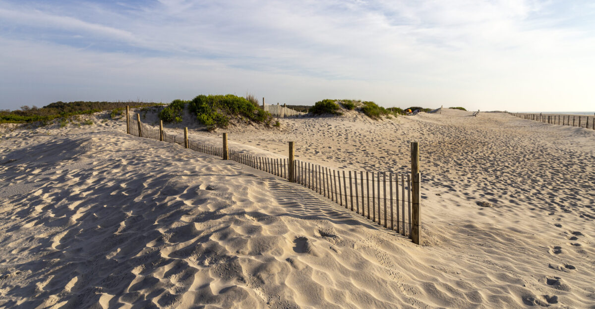 Assateague Island looking north in the early morning Assateague Island National Seashore Maryland USA