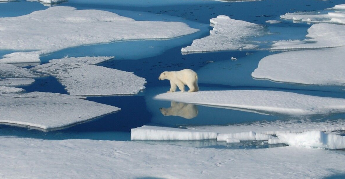 Ocean and ice by Olix