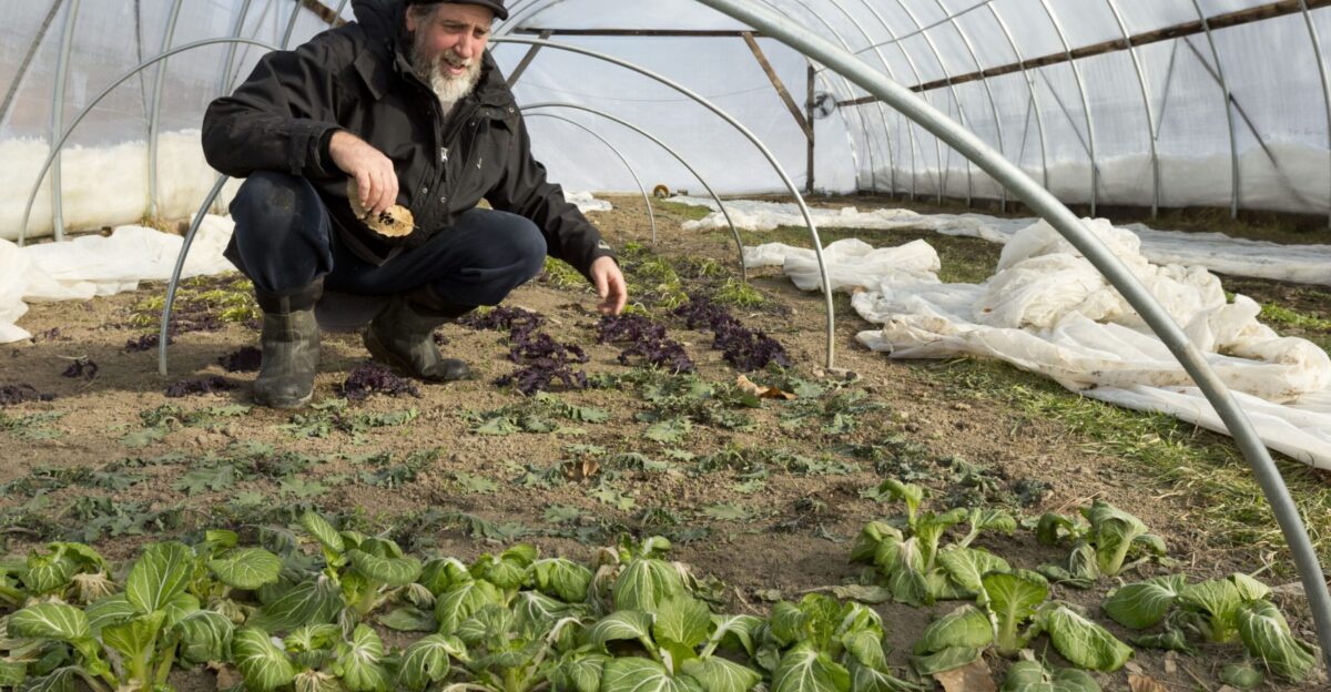 Winter farmers are making it easier to find locally produced vegetables during the frozen months by Atlantic States Legal Foundation
