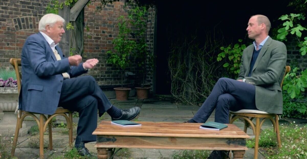 Sir David Attenborough and Prince William Team Up to Launch Nobel Prize for Environmentalism by Pinterest Preview matadornetwork com