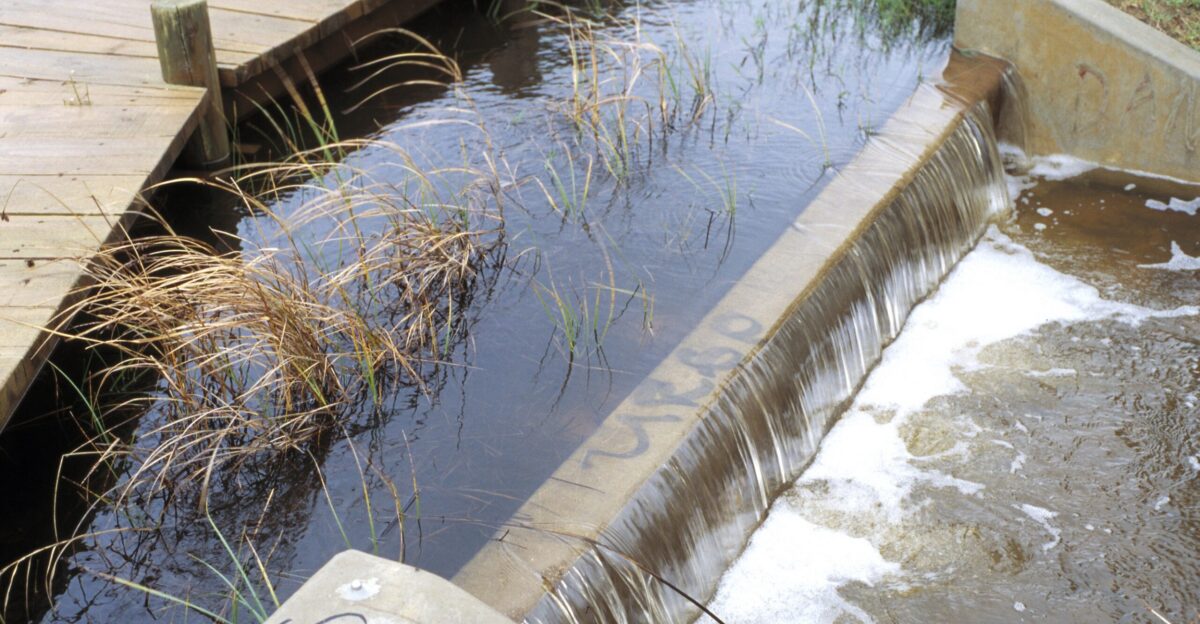 Stormwater runoff at the Paddocks wetland in the northern Adelaide suburb of Salisbury SA 1995