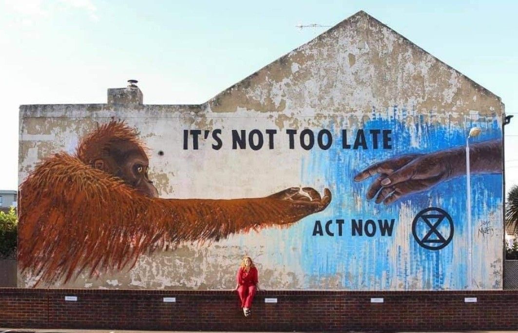 It s not too late Extinction Rebellion mural by Jane Mutiny in Sussex by Juan Bautista Zamora