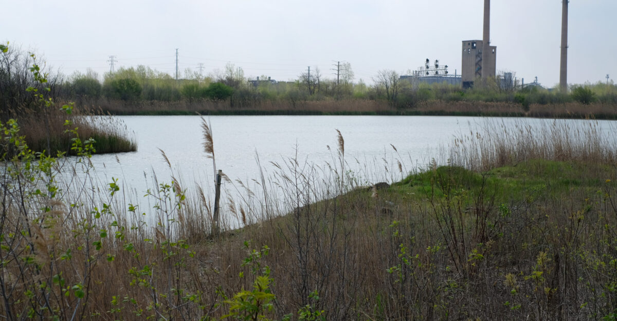 Great Lakes Region PFAS Scoping and Competitive Research