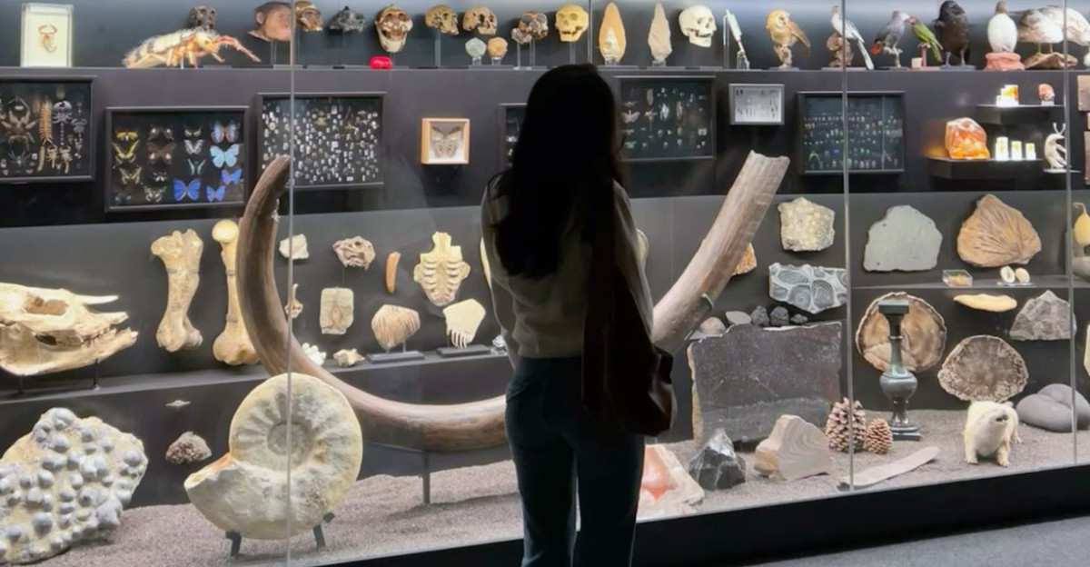 Senckenberg Museum by Lais Rodrigues