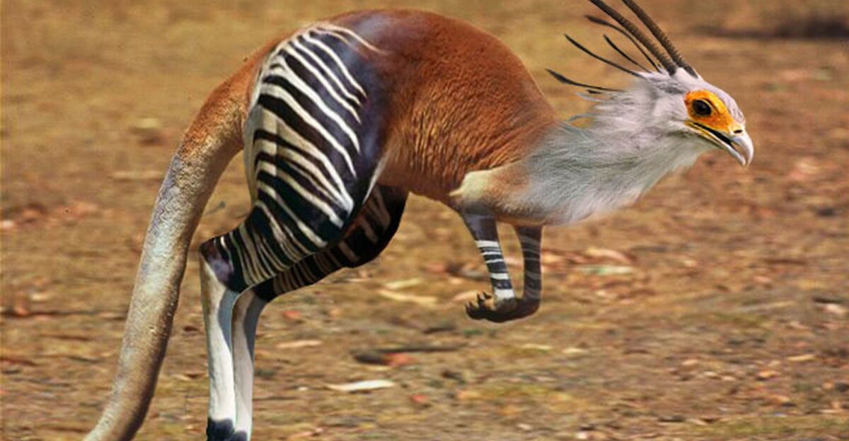 ArtStation - Hybrid Creature Concept Safdar Ali Mirza Sam by Samara Gilliam