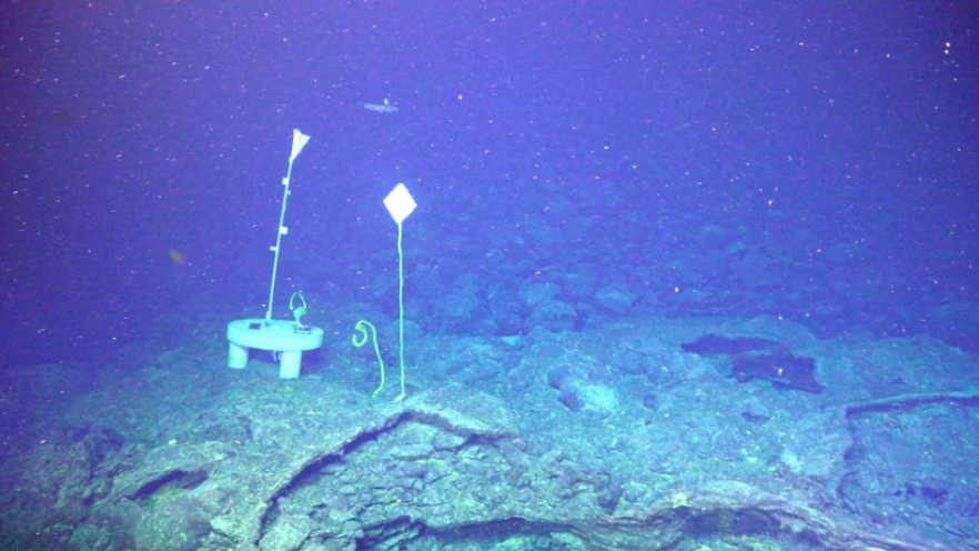 Axial Seamount Is About to Erupt - And What s Happening Down There Is TERRIFYING by The Story Vault