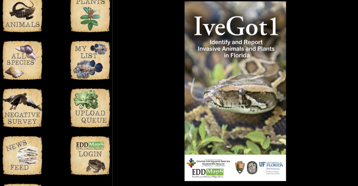 UF IFAS Center for Aquatic and Invasive Plants on X Early