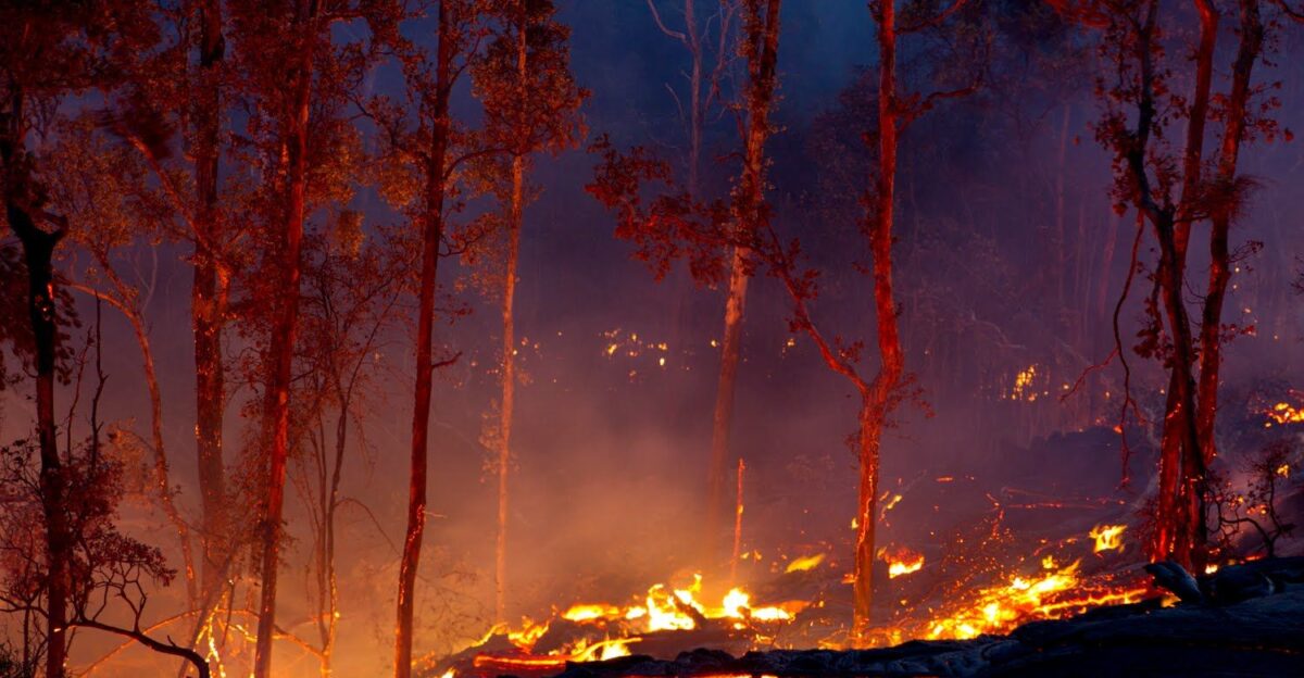 Bush lava fire by PinArtistry Emporium