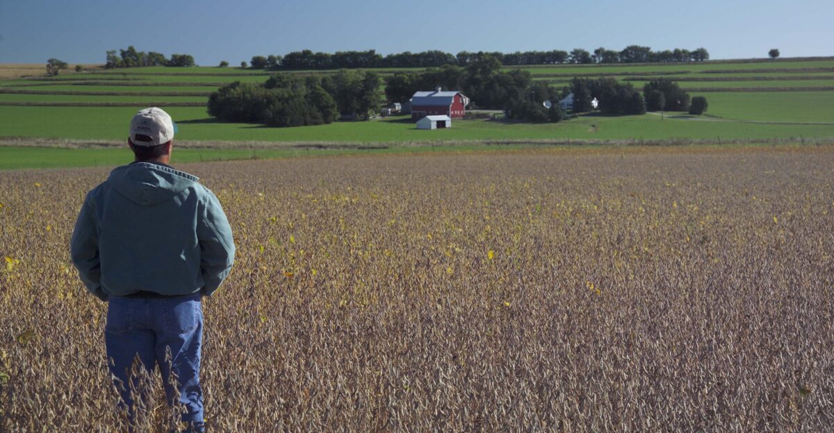 If used credit must be given to the United Soybean Board or the Soybean Checkoff