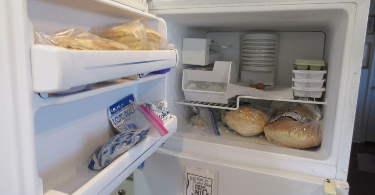 Freezer door open on refrigerator in home kitchen in New Orleans March 2025 Not much in the freezer at the time some bread frozen waffles ice cubes