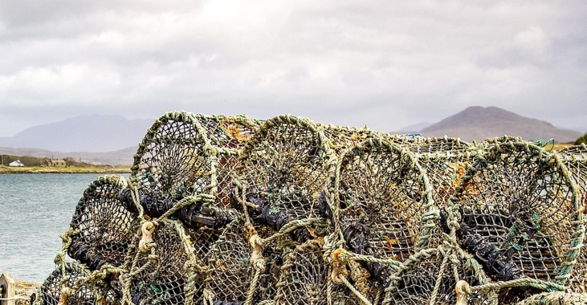 port trap sea maritime fishing lobster nature scotland