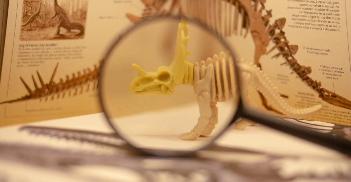 dinosaur paleontology prehistoric jurassic creature cretaceous museum evolution