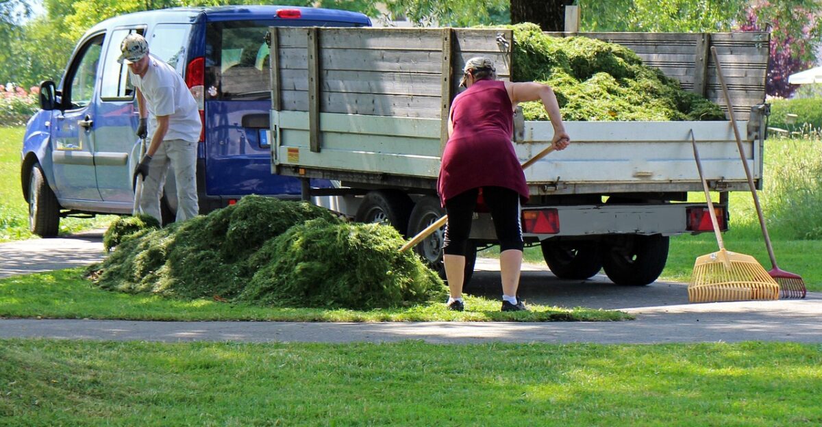 landscaper gardener gardening workers landscaping gardeners nature work garden park
